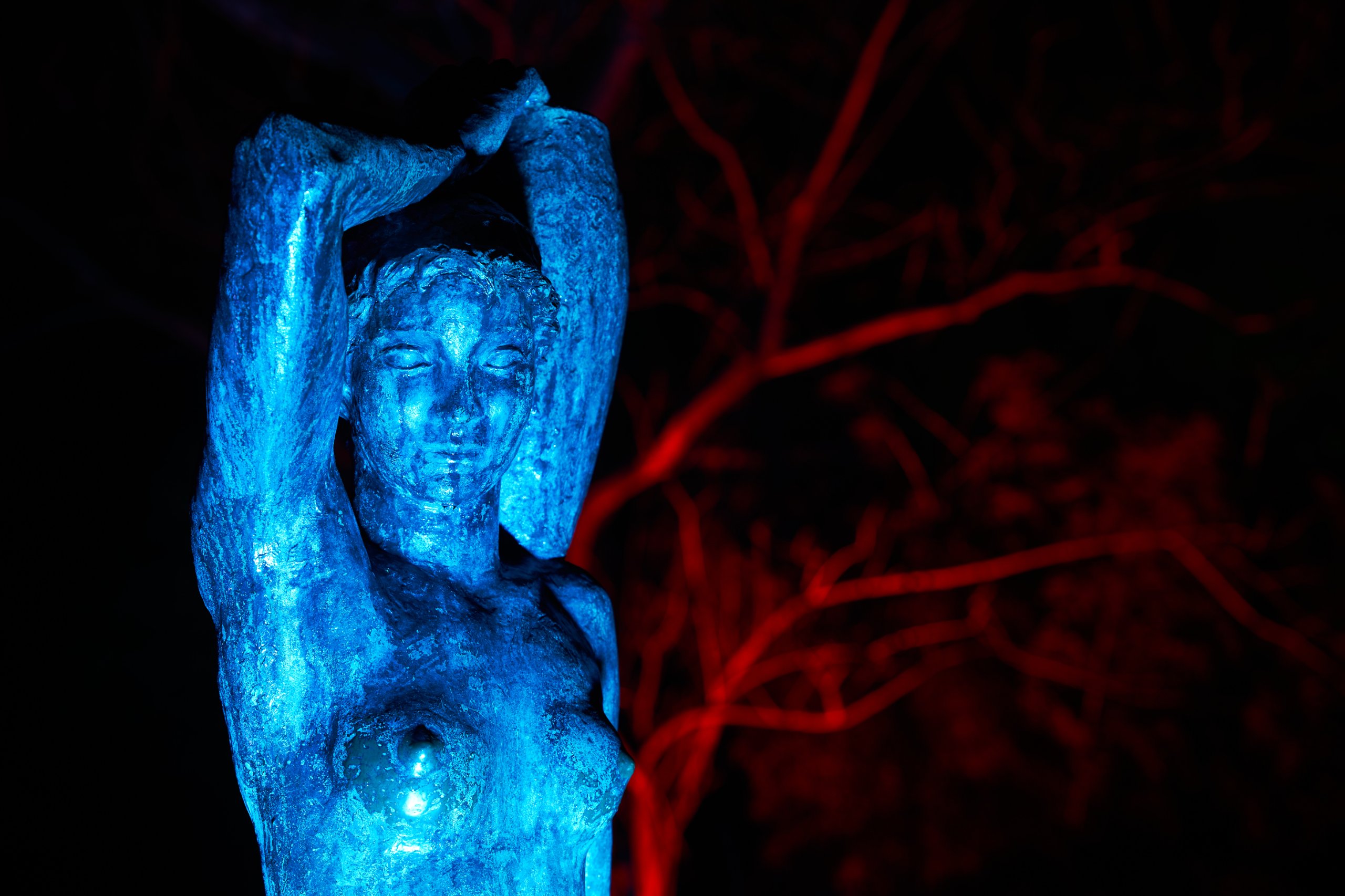 2024 02 23 Parkleuchten 0143